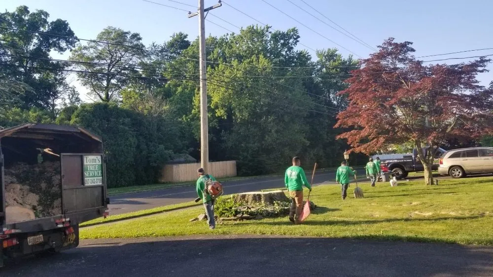 Affordable landscaping services in Bensalem, PA by Tom's Tree Services
