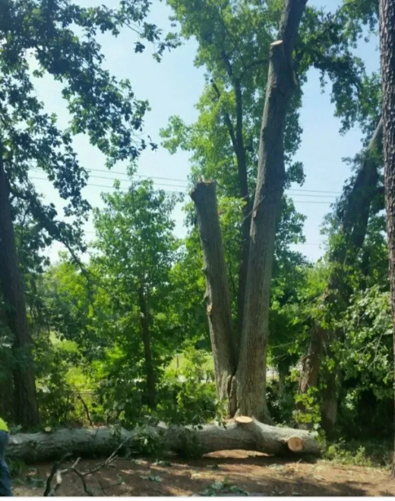 Expert residential landscaping in Bensalem, PA by Tom's Tree Services