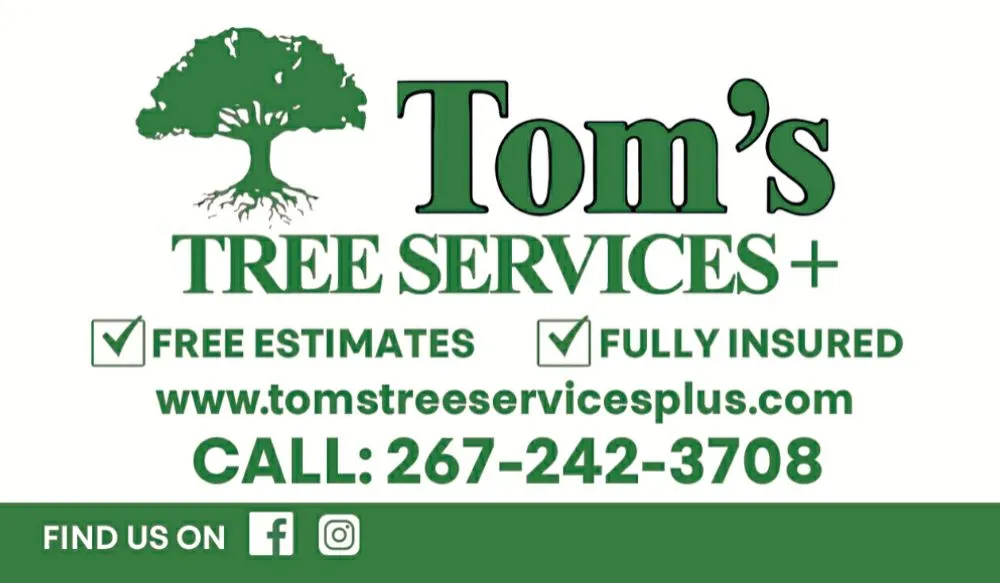Trusted outdoor landscaping in Bensalem, PA by Tom's Tree Services
