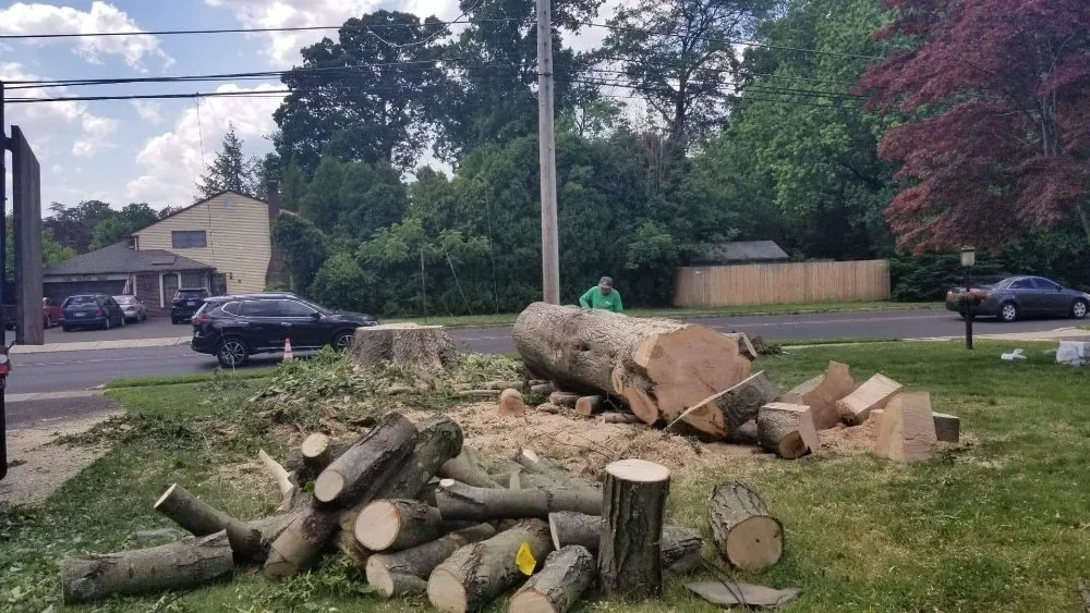 Custom lawn care service near you in Bensalem, PA by Tom's Tree Services