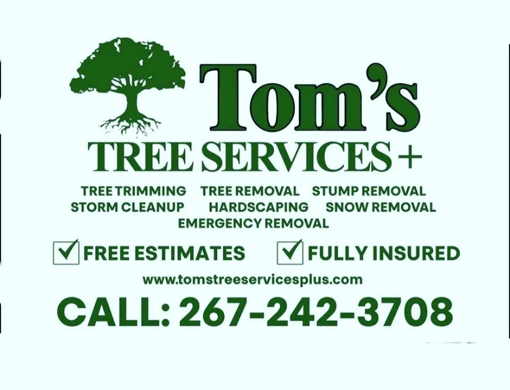 Affordable landscape installation experts serving Bensalem, PA - Tom's Tree Services