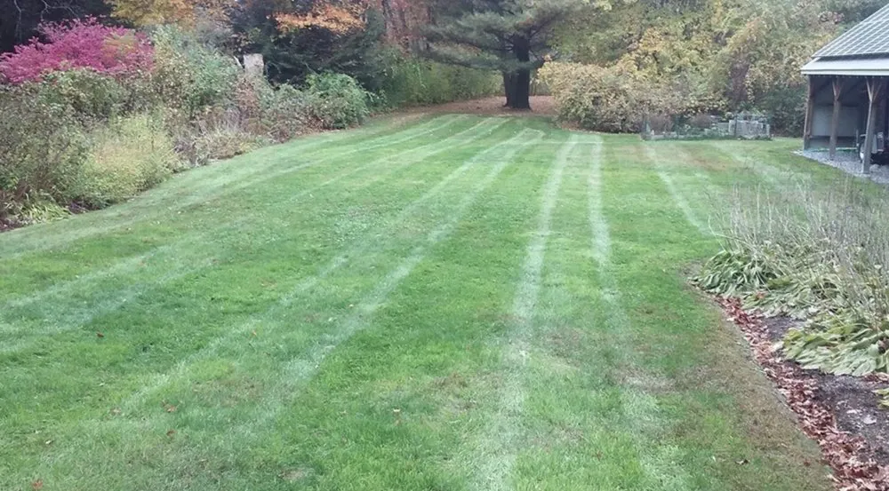 Affordable lawn care service experts serving Acton, MA - Tom's Yard Care