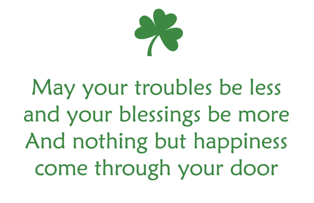 Professional yard maintenance experts serving Acton, MA - Tom's Yard Care