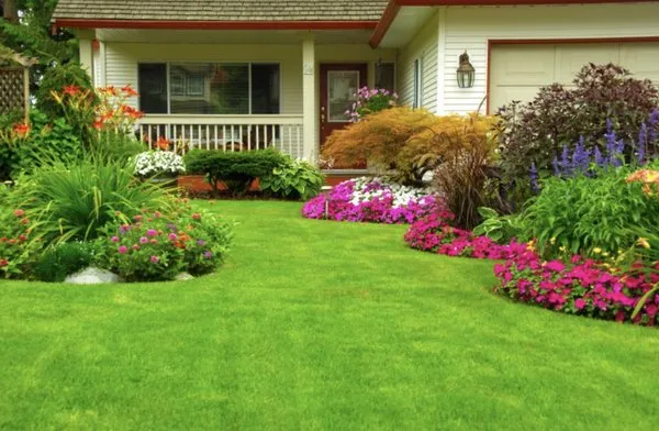 Tom's Yard Care Logo