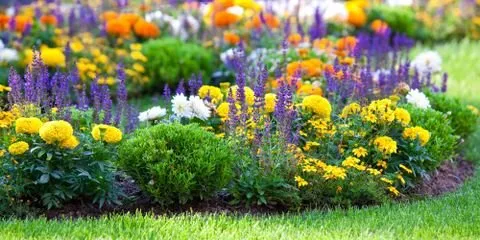 Local landscaping services for beautiful yards in Waynesboro, VA by Tom's Yardscape