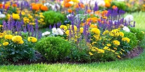 Local landscape design in Waynesboro, VA - Tom's Yardscape