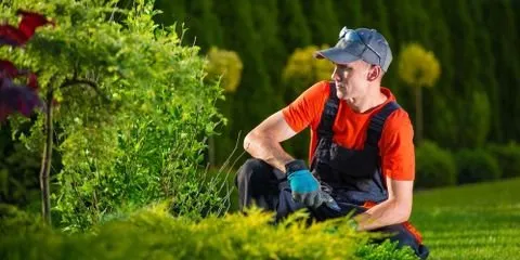 Affordable garden landscaping in Waynesboro, VA by Tom's Yardscape