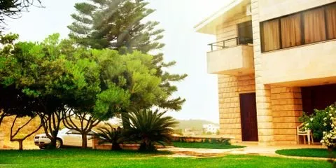 Professional lawn mowing service in Waynesboro, VA - Tom's Yardscape