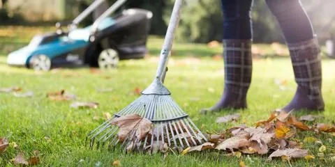 Local yard maintenance in Waynesboro, VA - Tom's Yardscape