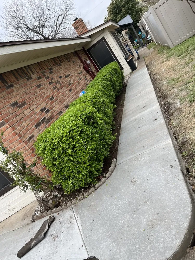 Reliable lawn care service in Valley View, TX - Tomys Replant Landscaping & Concrete