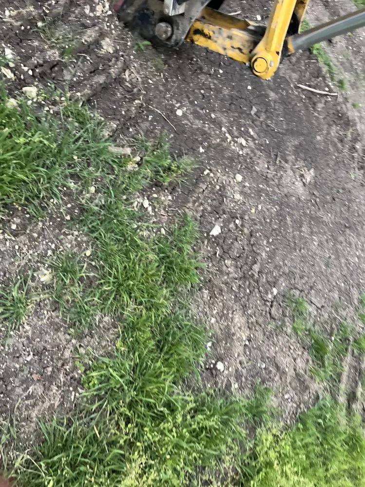 Professional yard maintenance in Valley View, TX - Tomys Replant Landscaping & Concrete