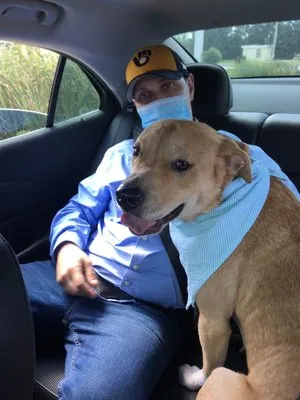 TONE MILLZ CONSULTING Logo