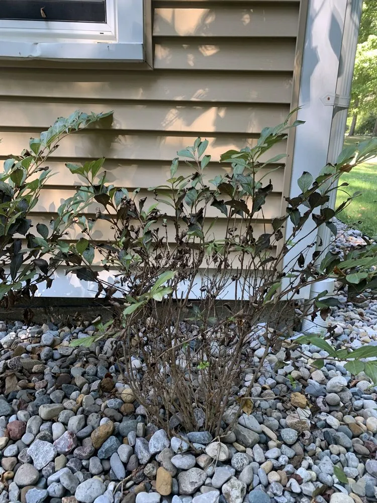 Top-rated garden landscaping in New Baltimore, MI by Tone Setter - TS Outdoor Services