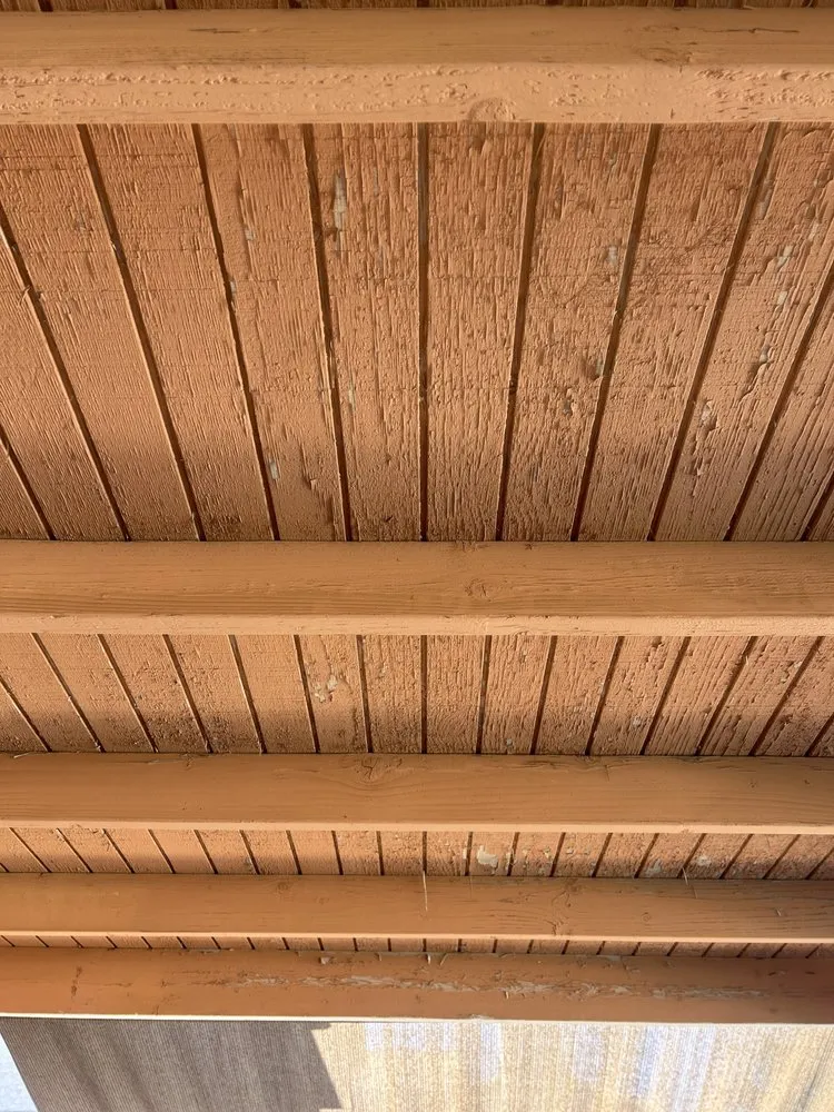 Custom yard maintenance experts serving Oro Valley, AZ - Tone’s Landscaping