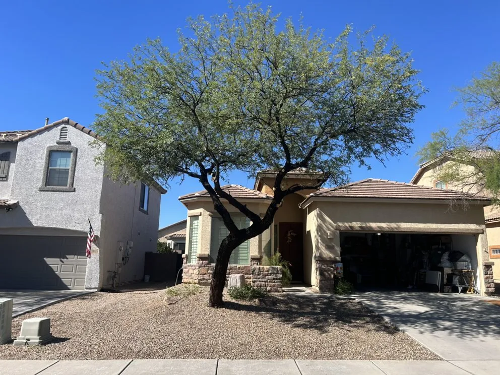 Local yard cleanup service in Oro Valley, AZ - Tone’s Landscaping
