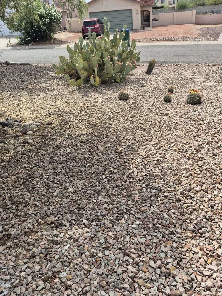 Reliable yard cleanup service experts serving Oro Valley, AZ - Tone’s Landscaping