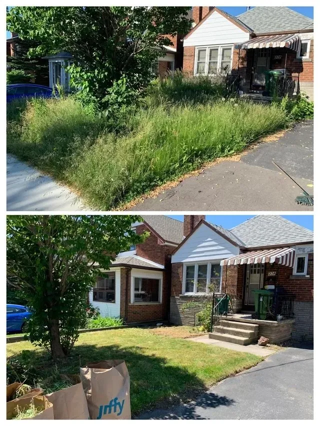 Affordable landscape installation for outdoor upgrades in Cleveland, OH by Tones Yard Clean Up And Maintenance
