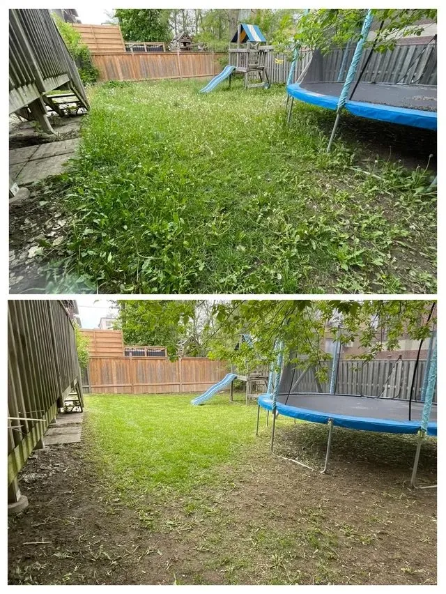Affordable yard cleanup service in Cleveland, OH by Tones Yard Clean Up And Maintenance
