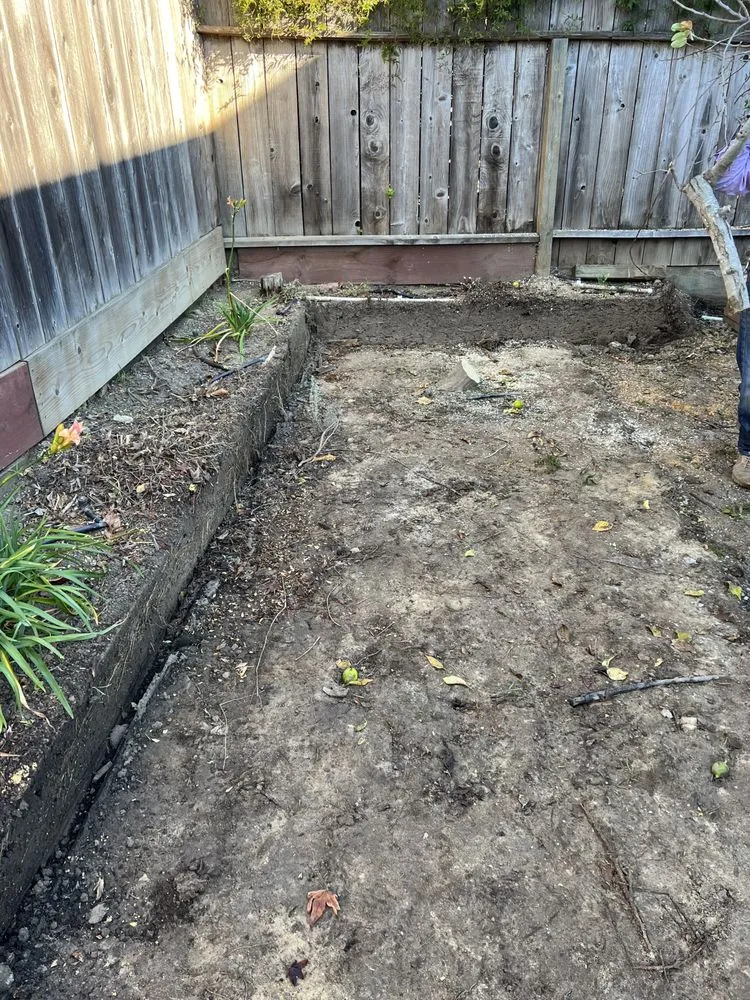 Professional yard cleanup service near you in East Palo Alto, CA by Tonga Alignment Construction Company