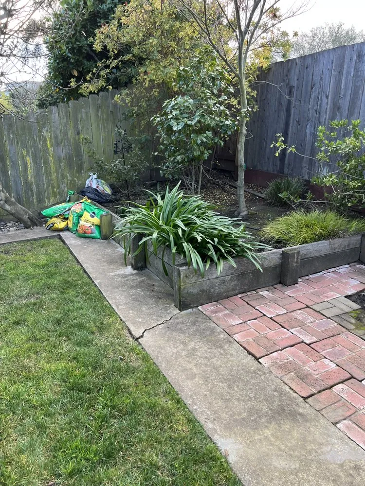 Top-rated landscape installation experts serving East Palo Alto, CA - Tonga Alignment Construction Company