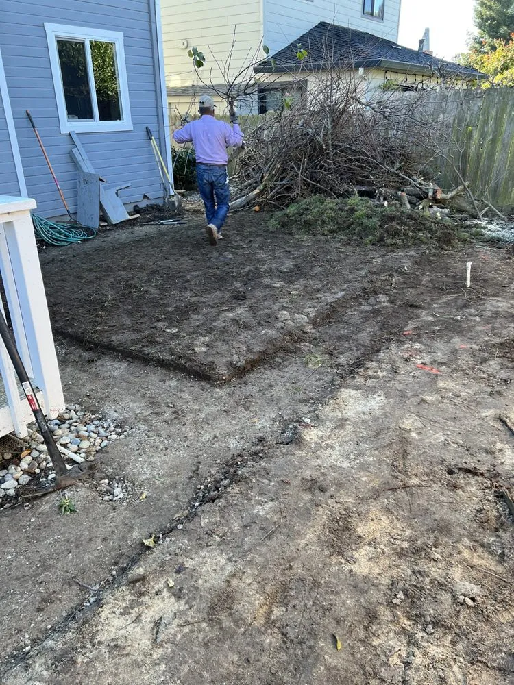 Reliable yard maintenance near you in East Palo Alto, CA by Tonga Alignment Construction Company