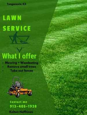 Tongie Lawn Service
