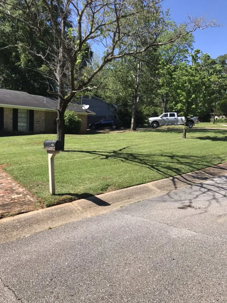 Local outdoor landscaping experts serving Eight Mile, AL - Tonie's Lawn Care and Pressure Washing