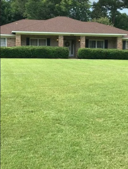 Expert lawn care service in Eight Mile, AL - Tonie's Lawn Care and Pressure Washing