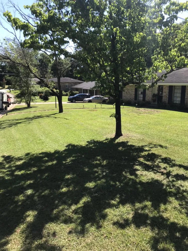 Local residential landscaping experts serving Eight Mile, AL - Tonie's Lawn Care and Pressure Washing