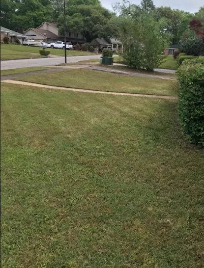 Expert landscape design for outdoor upgrades in Eight Mile, AL by Tonie's Lawn Care and Pressure Washing