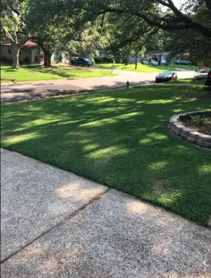 Affordable yard maintenance for outdoor upgrades across Eight Mile, AL - Tonie's Lawn Care and Pressure Washing