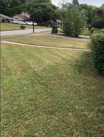 Expert lawn care service for year-round maintenance across Eight Mile, AL - Tonie's Lawn Care and Pressure Washing