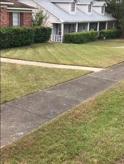 Affordable outdoor landscaping near you across Eight Mile, AL - Tonie's Lawn Care and Pressure Washing