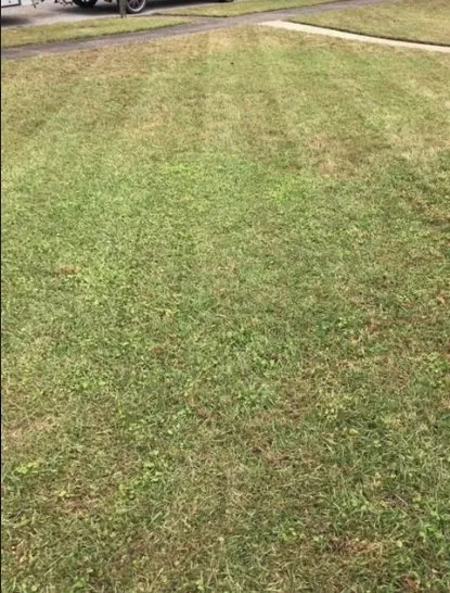 Affordable landscape installation experts serving Eight Mile, AL - Tonie's Lawn Care and Pressure Washing