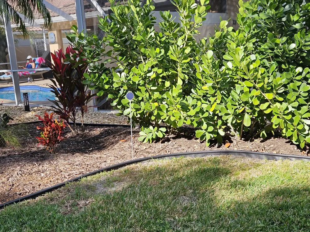 Top-rated landscaping services in Indiantown, FL by Tonies Lawn Service & Landscaping design