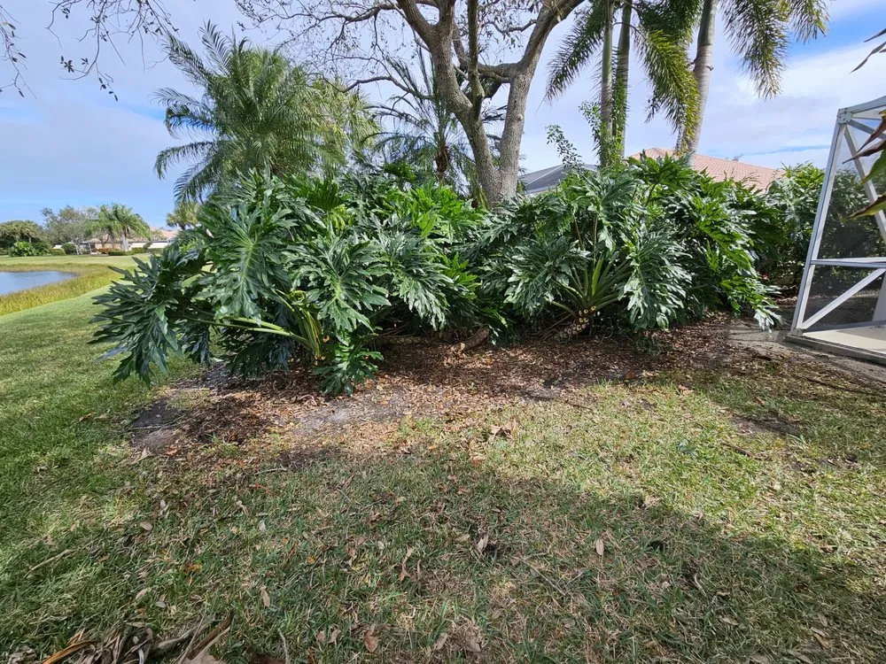 Local yard cleanup service in Indiantown, FL - Tonies Lawn Service & Landscaping design