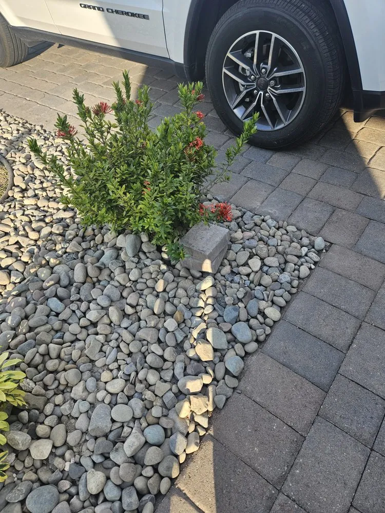 Expert lawn care service for residential properties across Indiantown, FL - Tonies Lawn Service & Landscaping design