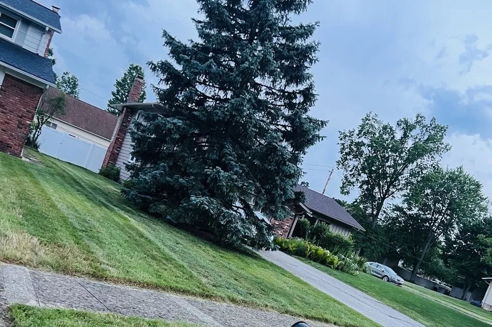 Reliable landscaping services for homes in Akron, OH by Tonios Magic Hands