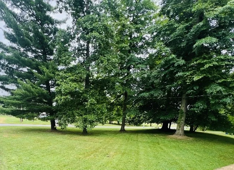 Affordable garden landscaping for homes in Akron, OH by Tonios Magic Hands