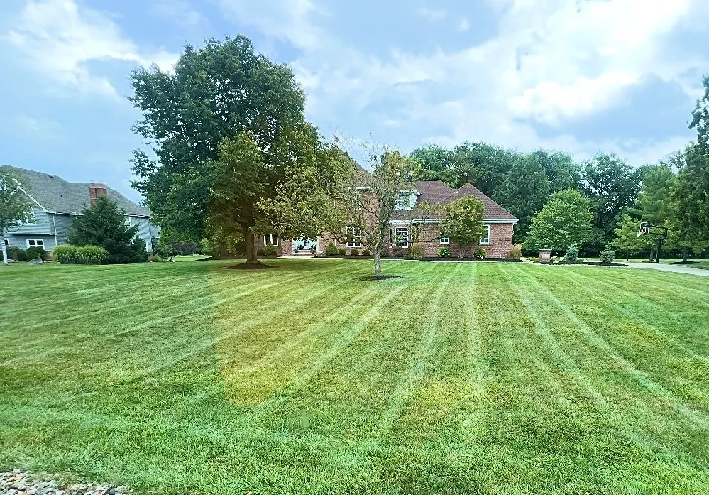 Local yard maintenance in Akron, OH by Tonios Magic Hands