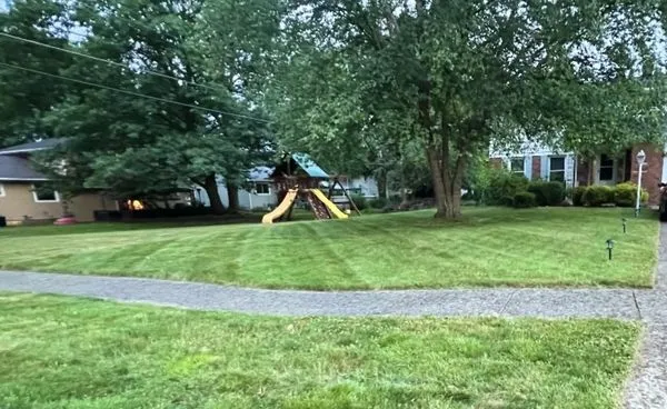 Tonios Magic Hands Logo