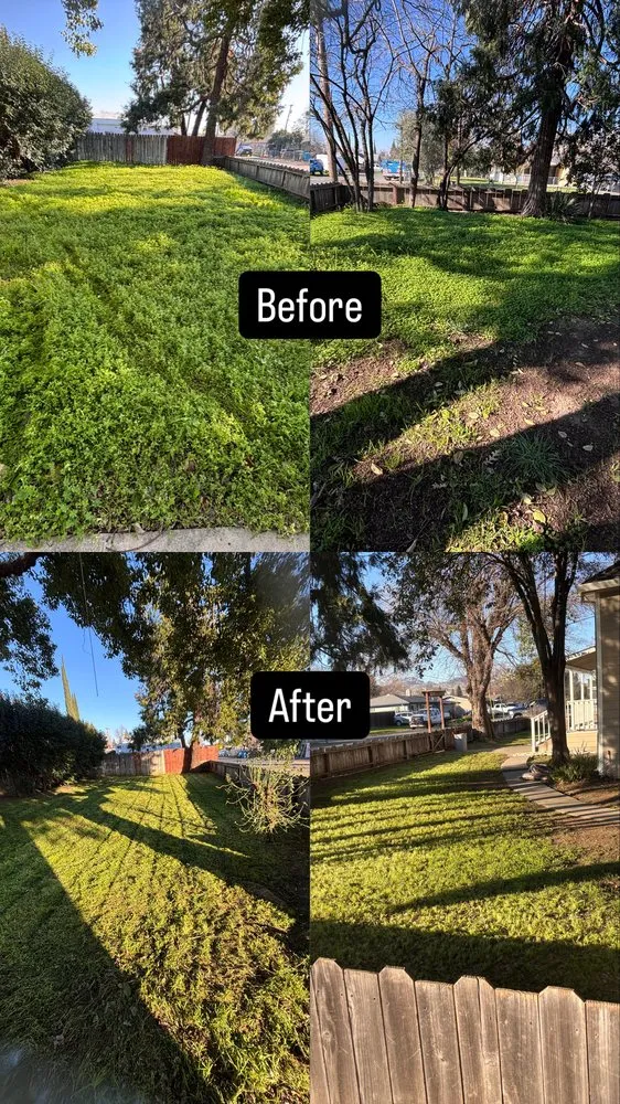 Professional landscaping services near you across Gridley, CA - Toni’s Yard Service