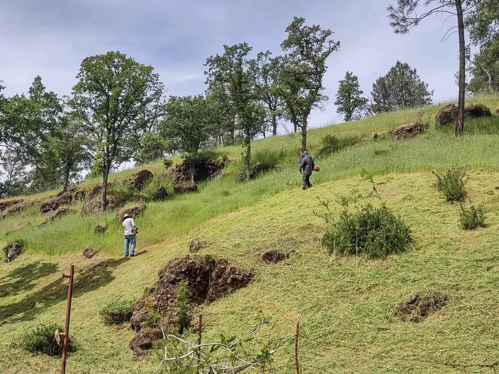 Top-rated landscaping services for year-round maintenance in Gridley, CA by Toni’s Yard Service