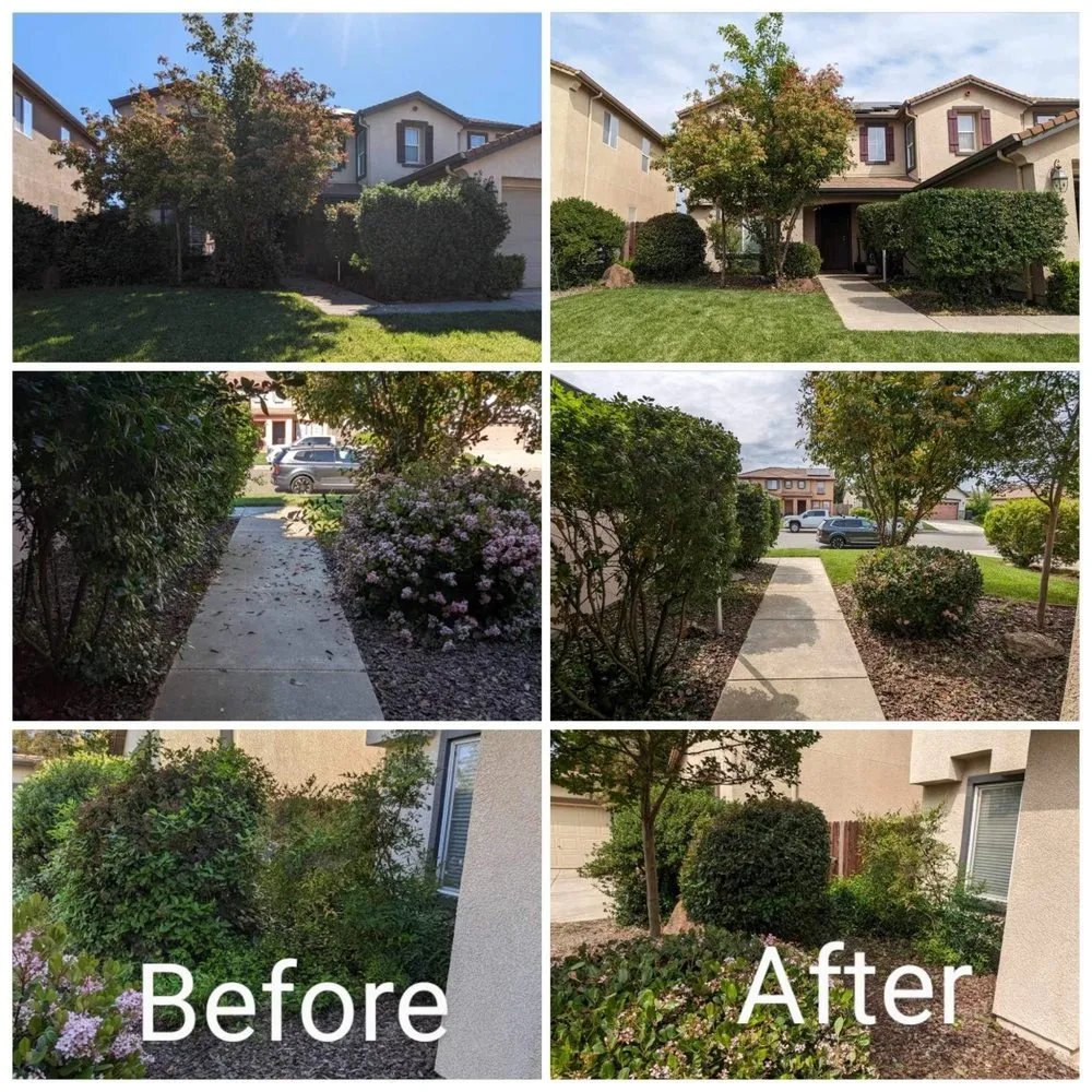 Trusted landscape design in Gridley, CA - Toni’s Yard Service