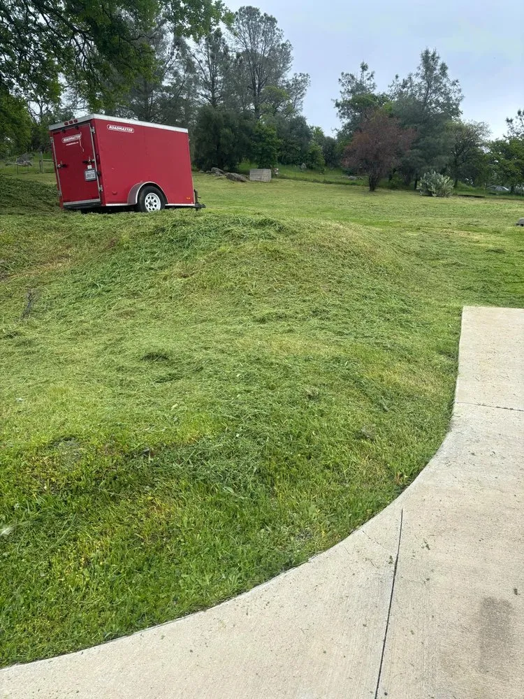 Custom outdoor landscaping in Gridley, CA by Toni’s Yard Service