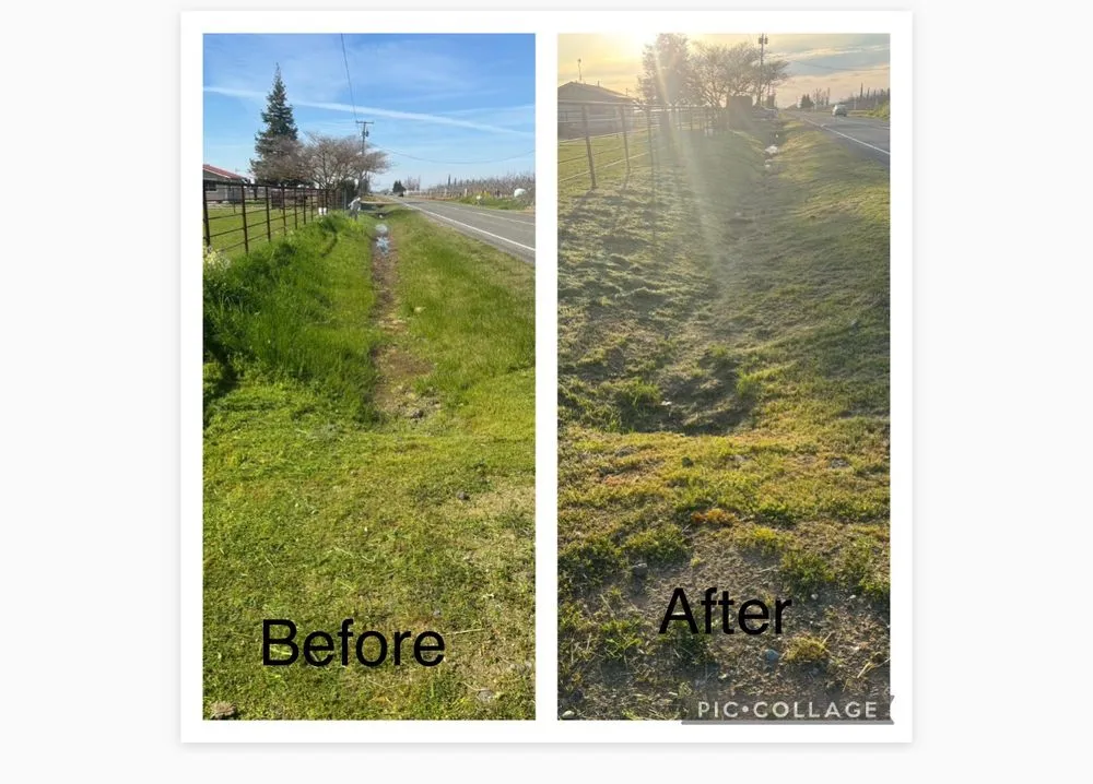 Top-rated landscape design for beautiful yards in Gridley, CA by Toni’s Yard Service