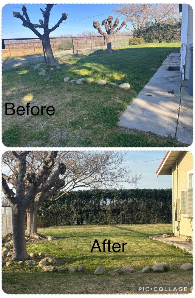 Local lawn care service in Gridley, CA by Toni’s Yard Service