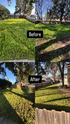 Toni’s Yard Service