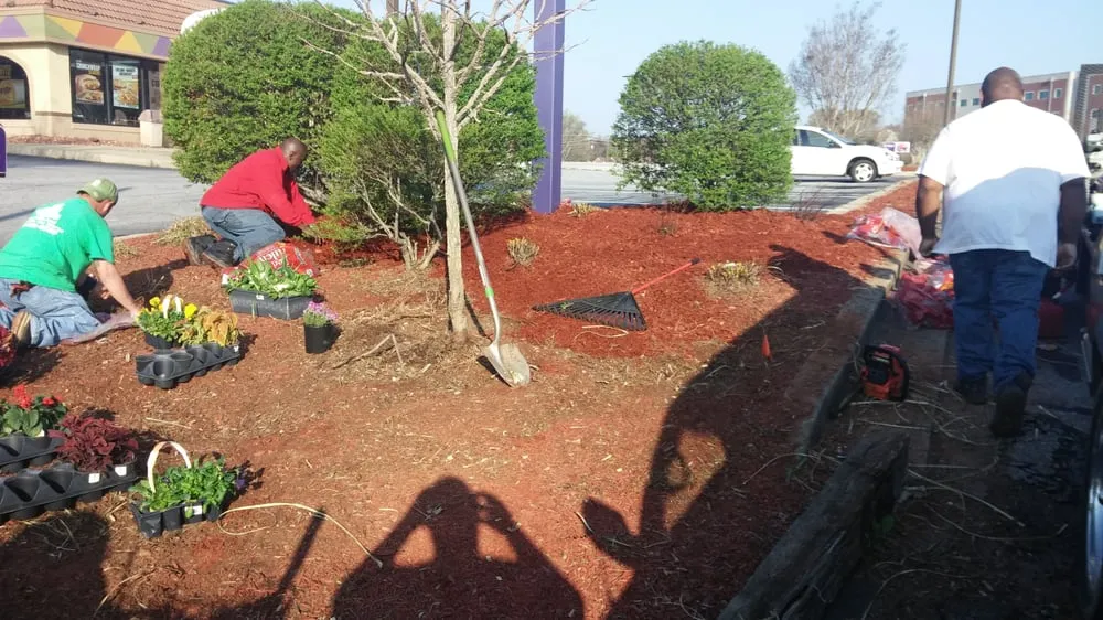 Affordable yard maintenance in Greenville, SC by Tonny and Son's Landscaping