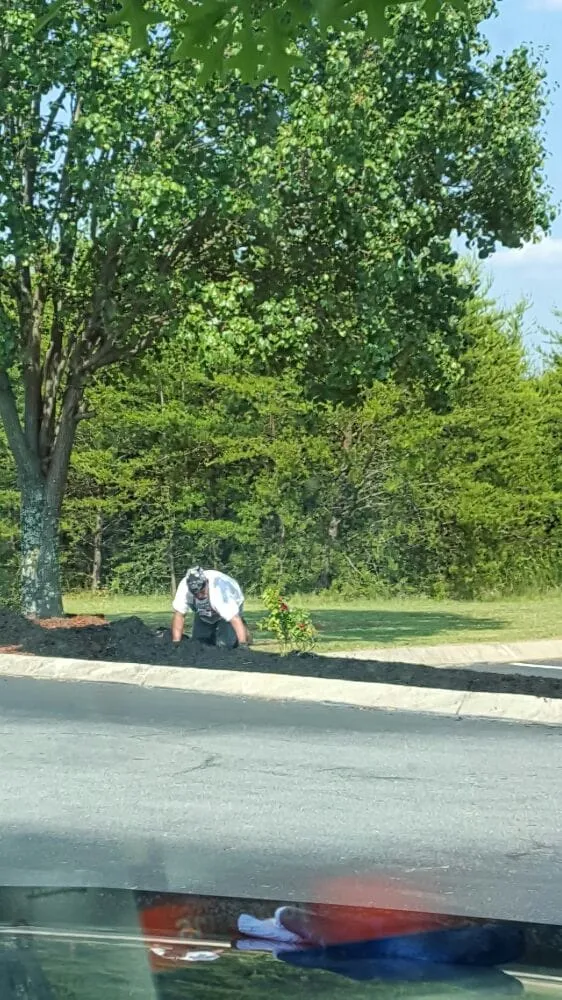 Expert lawn care service experts serving Greenville, SC - Tonny and Son's Landscaping